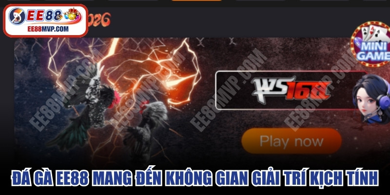 Đá gà EE88 mang đến không gian giải trí kịch tính, cuốn hút số 1
