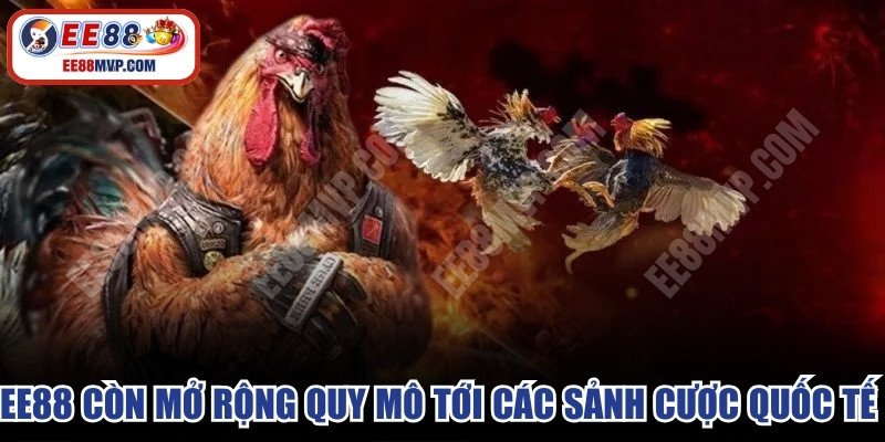 EE88 còn mở rộng quy mô tới các sảnh cược quốc tế rất hấp dẫn