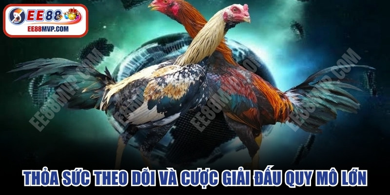 Thỏa sức theo dõi và đặt cược vào những giải đấu quy mô lớn