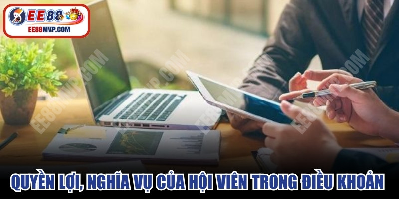 Quyền lợi, nghĩa vụ của hội viên trong điều khoản và điều kiện 