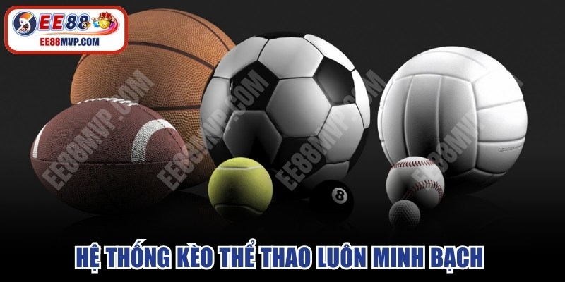 Hệ thống kèo thể thao luôn minh bạch giúp bạn dễ dàng nhận diện