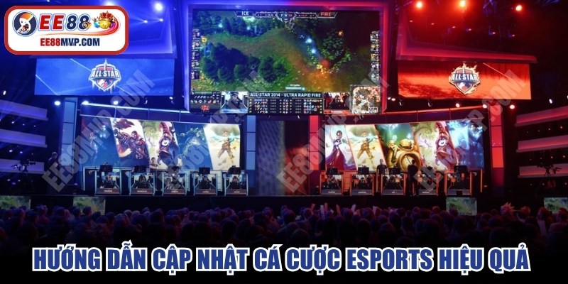 Hướng dẫn cập nhật cá cược Esports hiệu quả cho bạn 