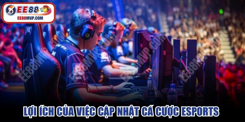 Lợi ích của việc cập nhật cá cược esports thường xuyên