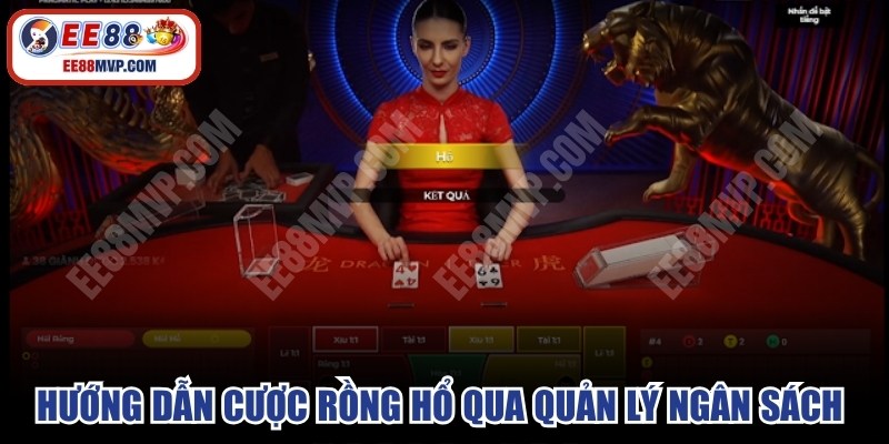 Hướng dẫn cược Rồng Hổ thông qua quản lý ngân sách mang lại hiệu quả cao