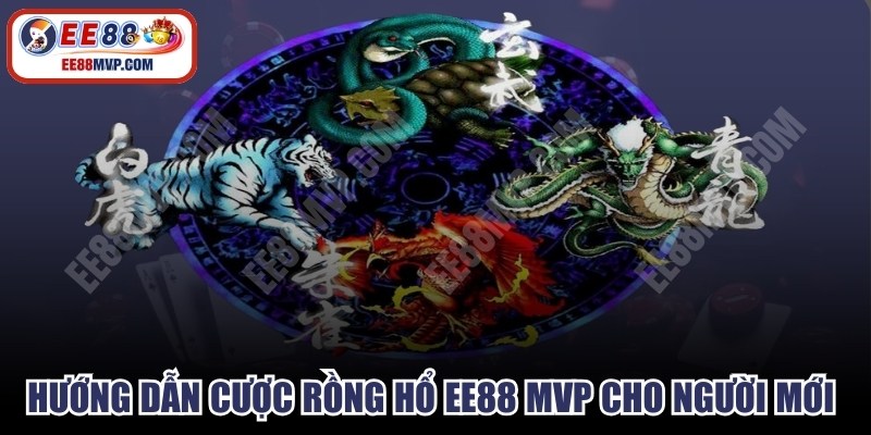 Hướng dẫn cược Rồng Hổ