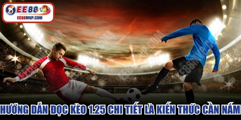 Hướng dẫn đọc kèo 1.25 chi tiết là kiến thức cần nắm rõ