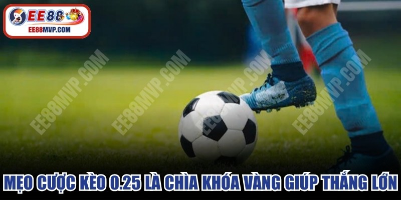 Mẹo cược kèo 0.25 là chìa khóa vàng giúp người chơi thắng lớn